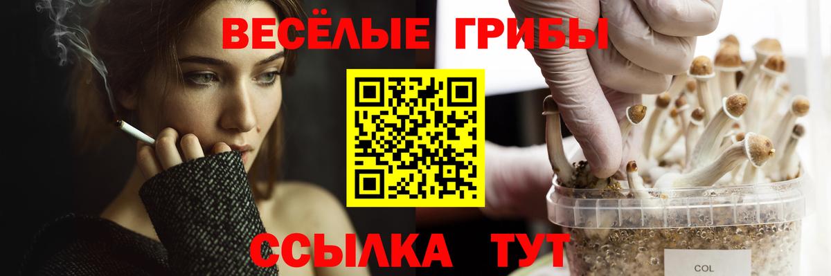 Галлюциногенные грибы GOLDEN TEACHER  Вход с VPN  Псилоцибиновые грибы Psilocybine cubensis  Фролово 